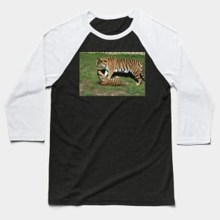 Tiger Cub and Mom Baseball T-Shirt